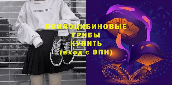 PSILOCYBIN Балахна