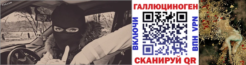 Галлюциногенные грибы Psilocybe  Губкинский 
